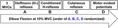 Indirect Vibration of the Upper Limbs Alters Transmission Along Spinal but Not Corticospinal Pathways